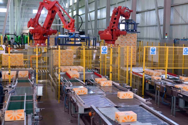 Successful case from Orange King's oranges sorting