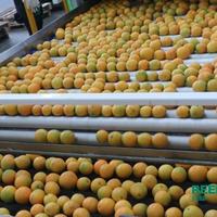 The sorting line in Chu Cheng is actually "Made in China&quot!