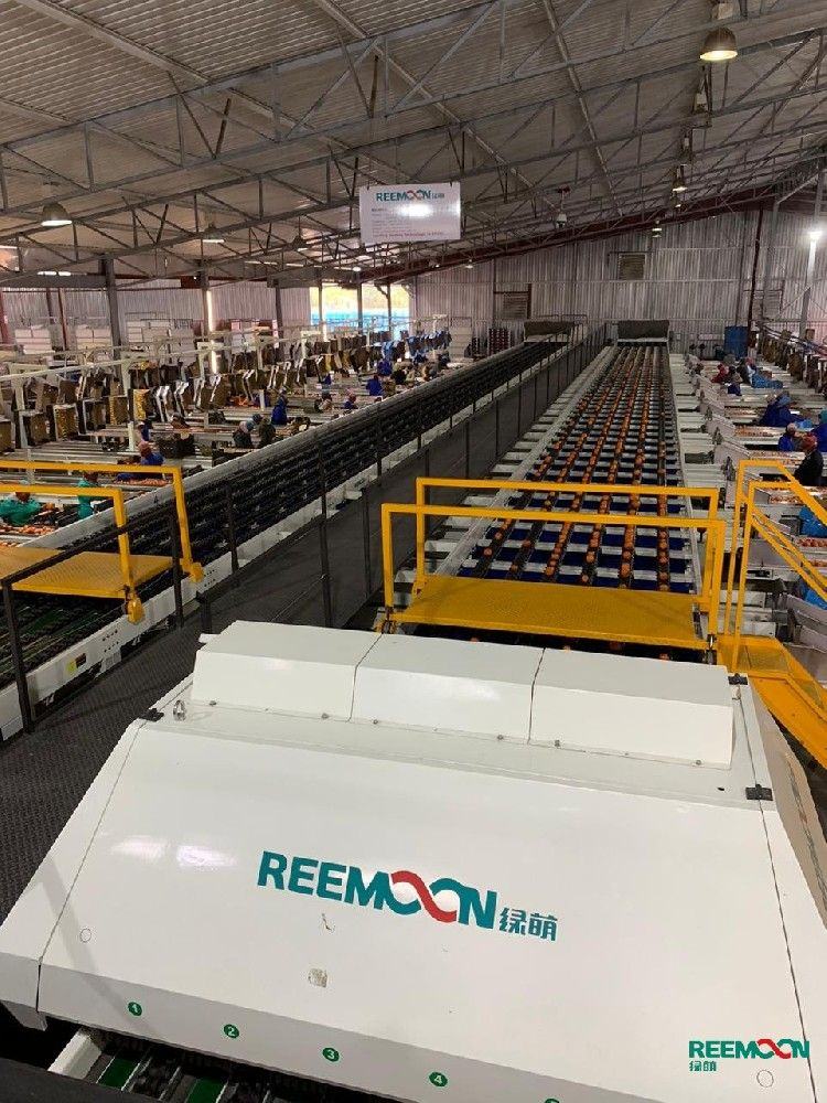 Moletele 2020 Season Running a 12 lane Reemoon.