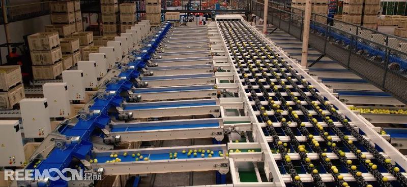 Focusing on Citrus industry for 25 years, how Ambrosia in South Africa ensures consistent citrus quality