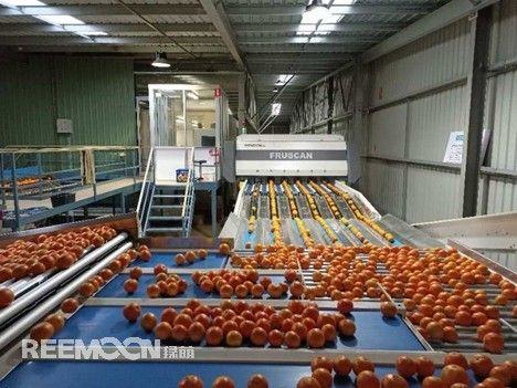 “This sorting line largely increased our sorting accuracy”