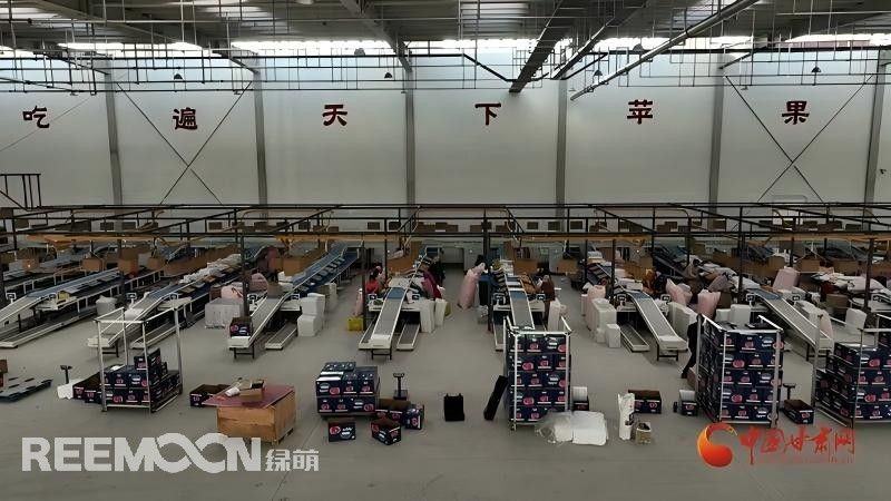 甘肃省媒看静宁｜静宁：“链”通苹果产业链 保“鲜”为民致富路