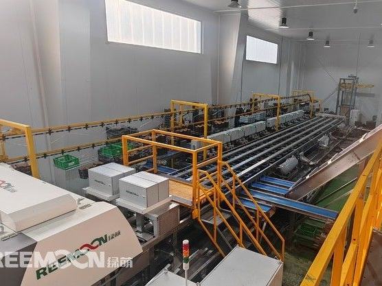 Reemoon has launched the first cherry sorting line in Spain’s Jerte Valley