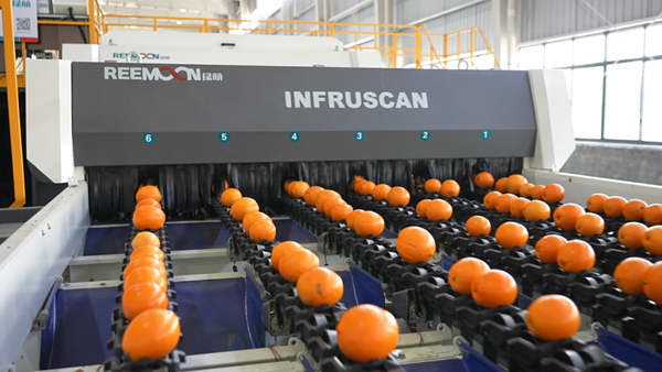 INFRUSCAN EVO7