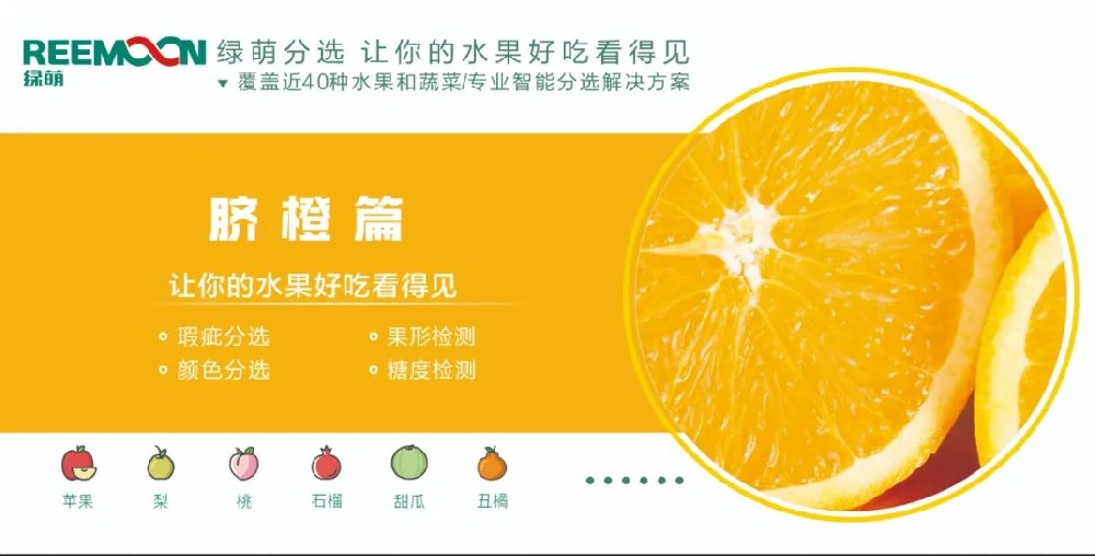 糖度可视化 好吃看得见【脐橙篇】来源：客家新闻网讯 记者何亮报道据悉，2019年，赣州市脐橙种植面积达到162万亩、产量122万吨，产值129亿元。‍20多年前，一批和新奇士品质相近的赣南脐橙，用低于新奇士一半的价格出售，销量却并不见得比新奇士好。如今，赣南脐橙产值129亿元，是什么让赣南脐橙声名鹊起？绿萌脐橙果表瑕疵