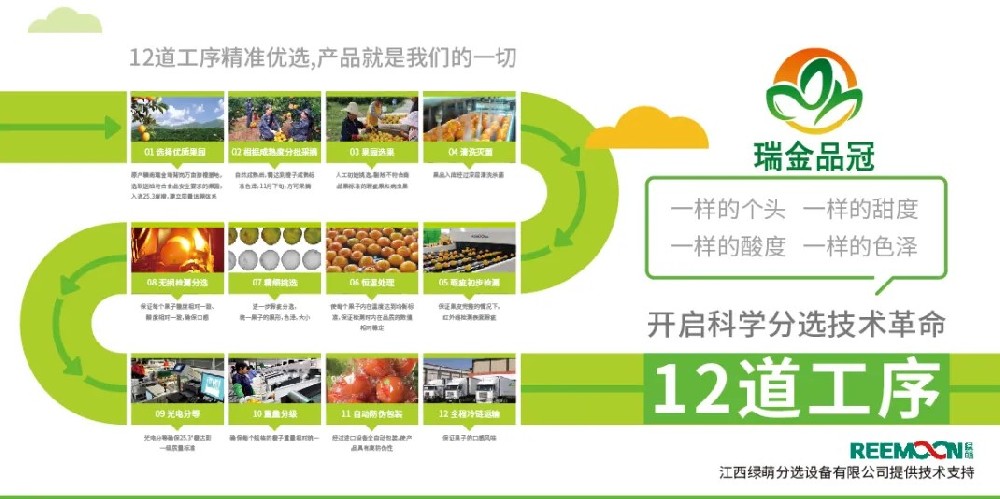 绿萌分选 让您的水果好吃看得见 2020年11月27日，由瑞金市品冠农业发展有限公司承办的2020红都品冠赣南脐橙以“绿水青山、红色传橙”为主题的推介会在沈阳举行。瑞金品冠围绕“红色传橙、绿色情怀、生态共建、品牌强农”的理念，坚持要把优质赣南脐橙推介给东北人民，为此，瑞金品冠挑选优质脐橙果园基地