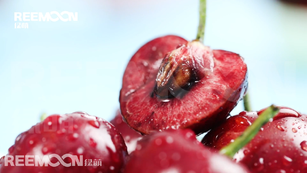 据新华社智利圣地亚哥3月24日电，智利水果生产商协会24日发布数据显示，在刚刚结束的2020年至2021年樱桃出口季中，智利樱桃出口超过35万吨，同比增长54.4%，其中对华出口超过32万吨，同比增长55%。 在智利水果生产商协会24日举行的樱桃出口情况在线分析会上，鲜果出口行业分析师贡萨洛·萨利纳斯表示，由于种植面积连年增加