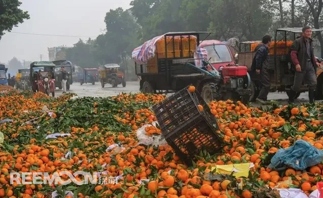 中国是果业大国，水果种植面积和产量近年来一直稳居世界第一。随着消费水平的提高，中国果业发展迅速，成为资本进入的重要领域，许多人纷纷跨界转入了农业，尽管大量的资金和人才进入，但仍未能改变现状:中国果业当前面临的主要问题仍是“产能过剩，质量不高”。那么，中国果业目前处于什么状况?世界果业的发展如何，进入水