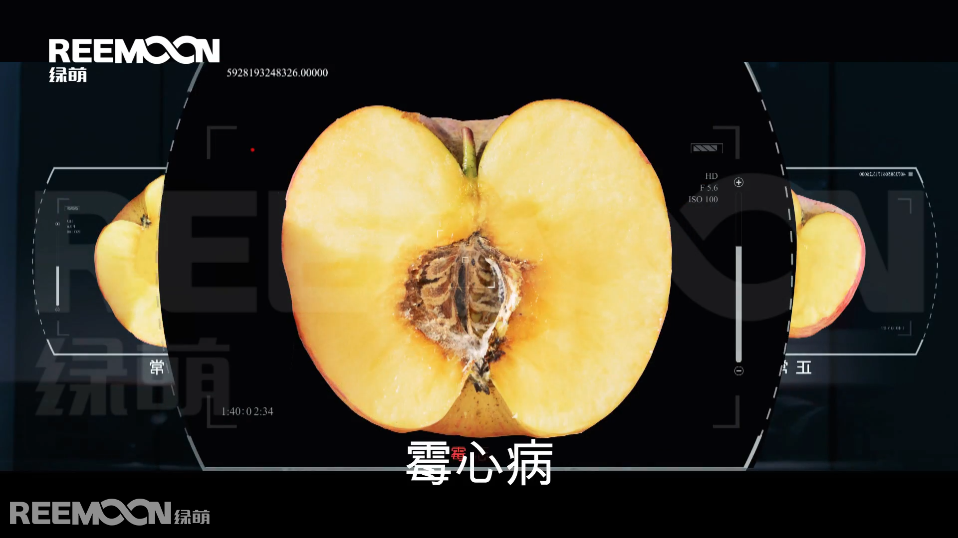 内部检测2.png