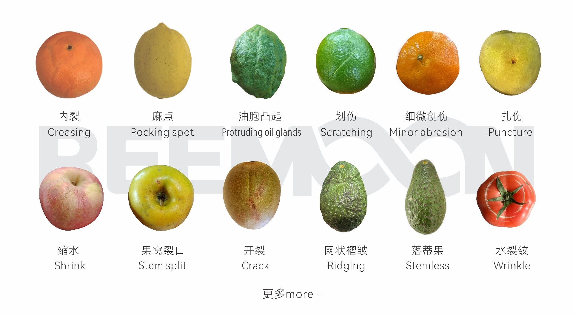 微信图片_20250903174234.jpg