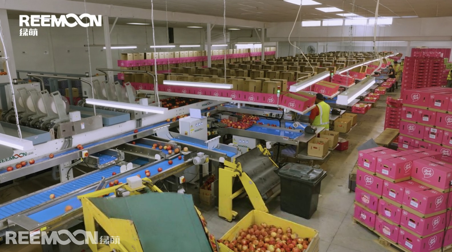 1758248244136136.jpg 微信图片_20250828104636.jpg