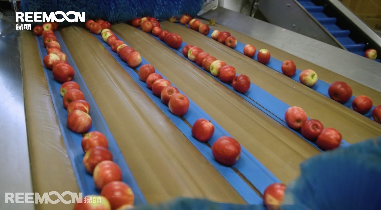 1758248264498208.jpg 微信图片_20250828104640.jpg