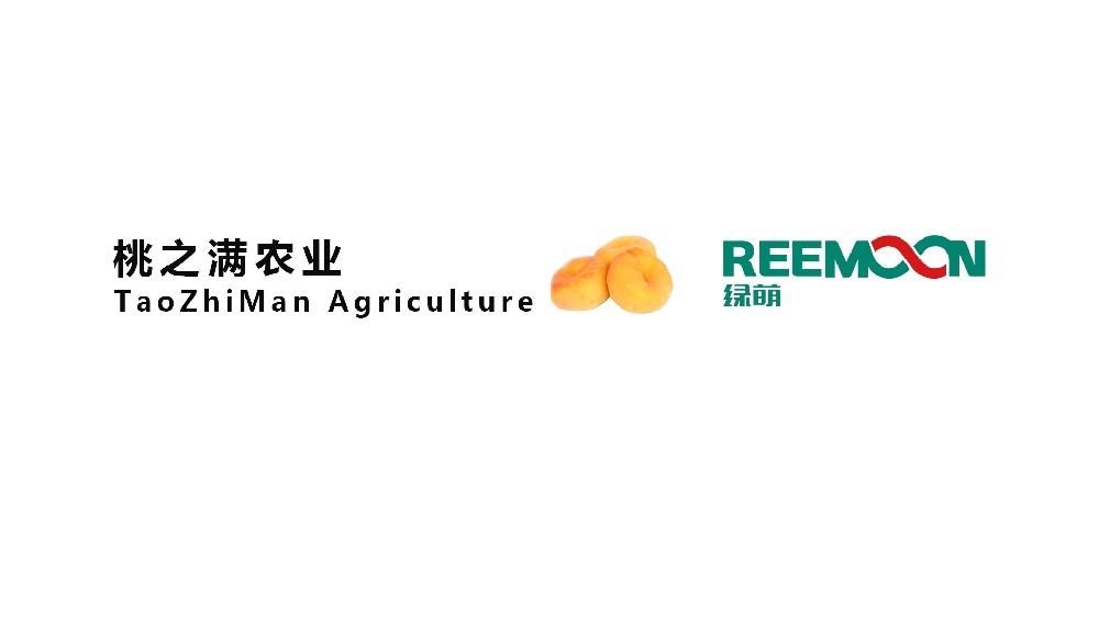 “山东 桃之满农业 蜜桃