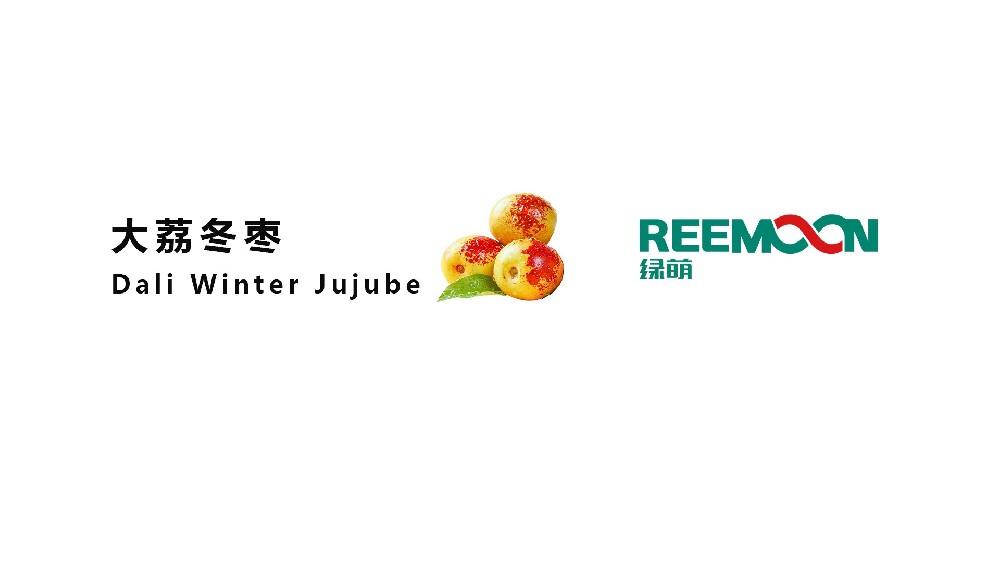 “陕西 绿青合作社 冬枣