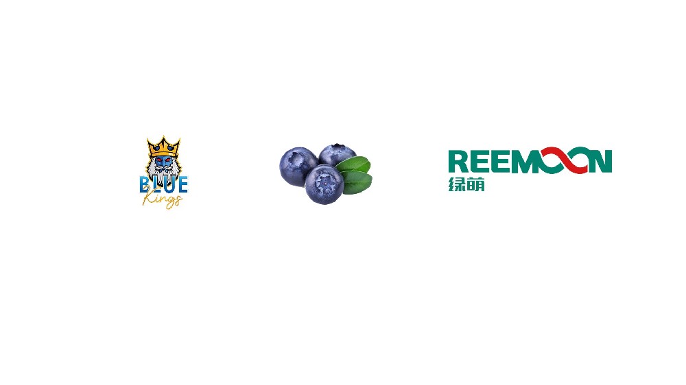 “Spain Onuba de Ferreteria, S.L. Blueberry