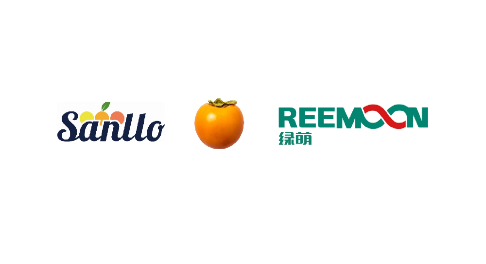 “Spain Sanllo Persimmon