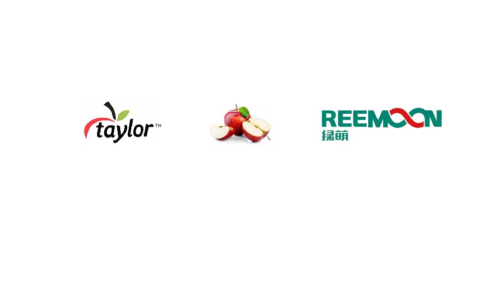“New Zealand Taylor Apple