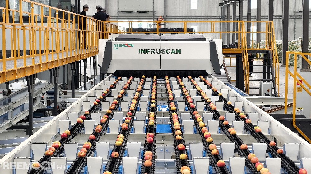 春华秋实，又是一年丰收季果园里，枝头沉甸甸的果实凝结着农人一年的辛勤与汗水采摘后的佳果如何与时间赛跑以最优状态“抢鲜”登陆市场这背后是一场效率与品质的角逐而智能分选设备的出现给了我们答案▲绿萌智选 覆盖60+果蔬品种01 走进果蔬AI分选时代传统人工分选时期，依赖肉眼判别与手工操作，效