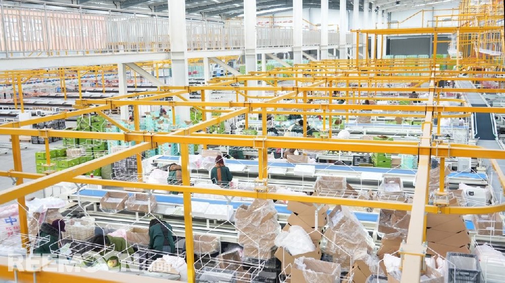 近日，甘肃省庆阳市西峰区彭原镇鄢旗坳村传来产业升级捷报：由庆阳居立农业公司总投资1.02亿元的庆阳苹果智慧分选仓储中心项目核心设备——呵福式双通道分选线正式投用。这一国际先进设备的落地，标志着庆阳市西峰区苹果产业告别传统人工分选模式，迈入“智能检测、精准分级、高效增值”的智慧化发展新纪元，为陇东地区果业