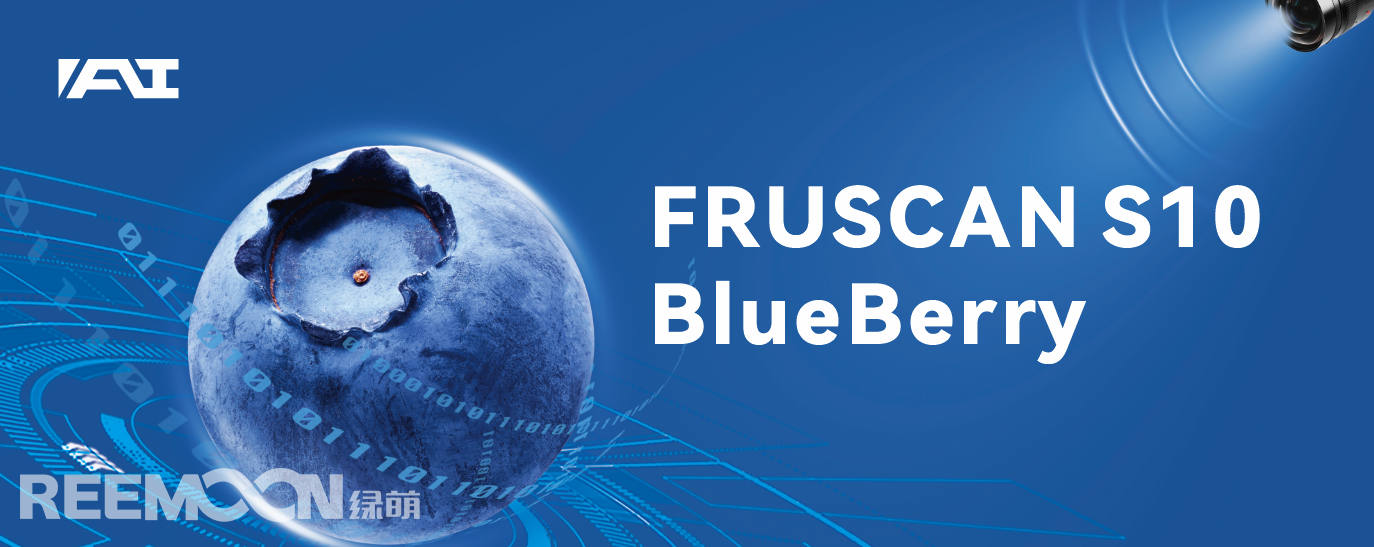 FRUSCAN S10-BlueBerry.png