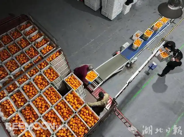 1778574507138198.png 4.png