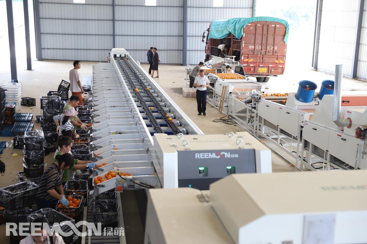 1779354310112316.jpg 3 - 副本.jpg