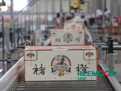 “100 workers, 400 tons oranges, one day finished processing, Chucheng is standardized in this way.