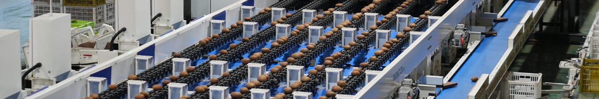 让您的水果表里如一