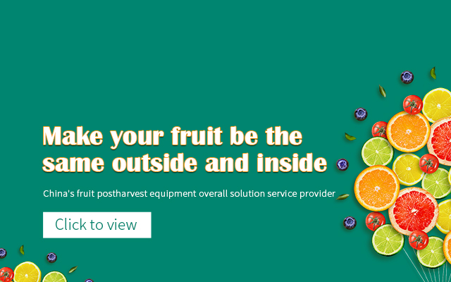 Adding value to your fruit by sort both internal and external quality